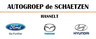 Logo Hasselt Motor NV De Schaetzen